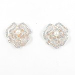 512332 Clear Rose Gold Crystal Earring 