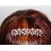 596101-101AB Clear Silver Hair Comb
