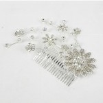 716023 Clear in Silver Hair Comb