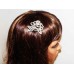 716335-101 Crystal Silver Flower Shape Hair comb