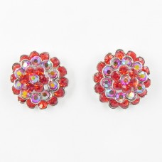 512396-107 Red Crystal Earring in Siliver